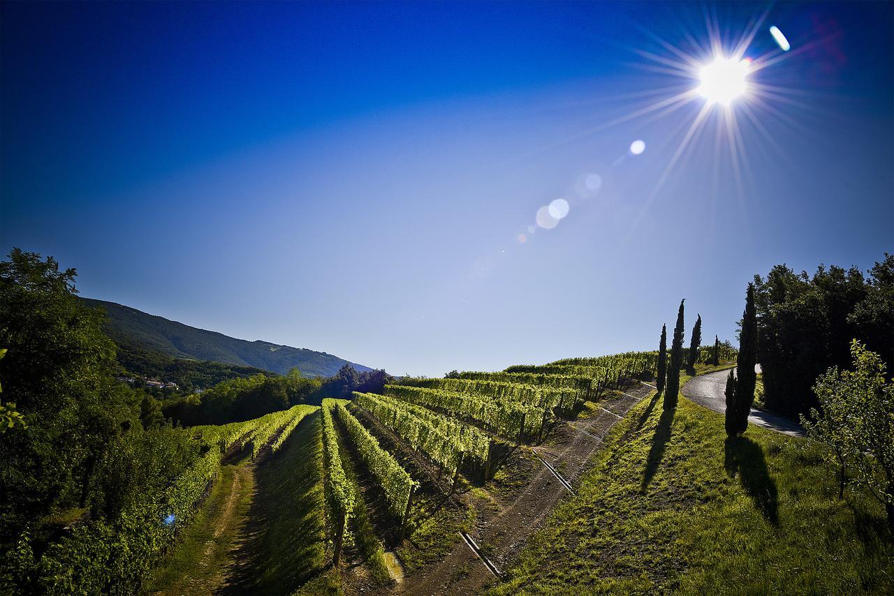 Venica&Venica Wine Resort Dolegna del Collio Exterior foto